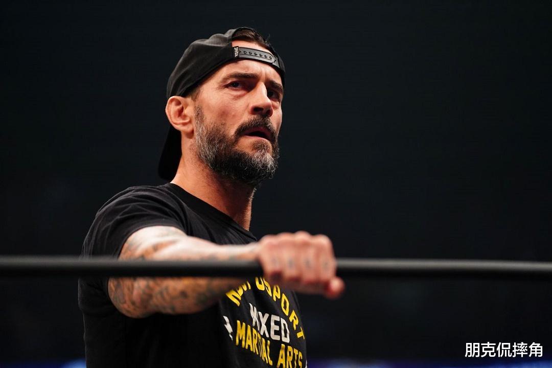 WWE精彩赛事与选手分析全面揭秘幕后故事_新手必看指南
