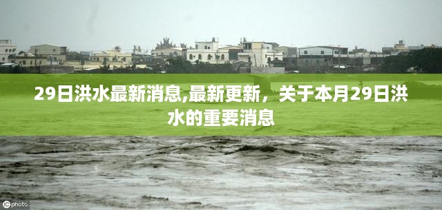 本月29日洪水最新消息与重要更新