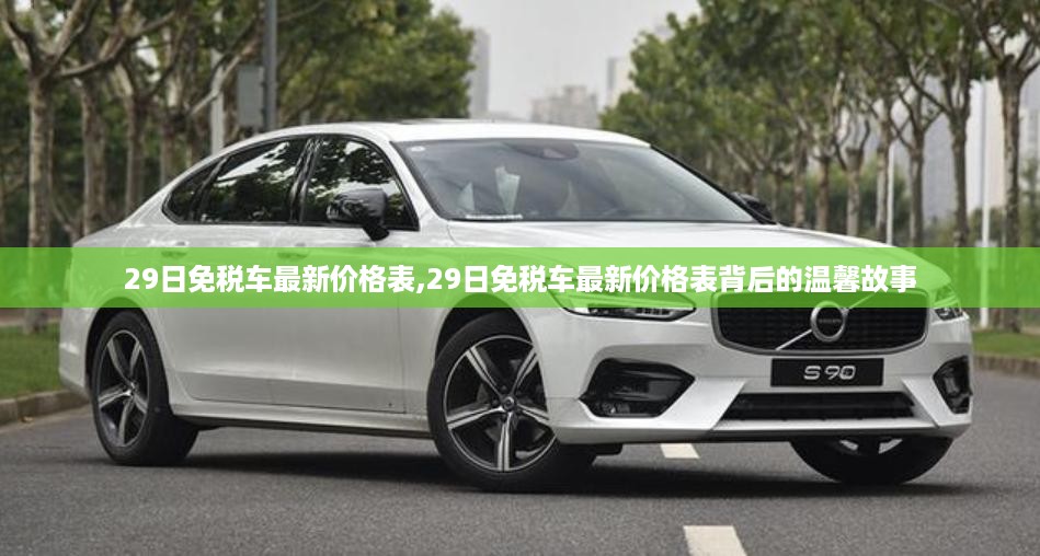 沉默的风 第48页