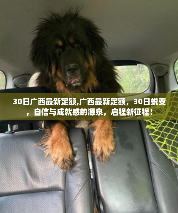 初遇在故事开头 第45页