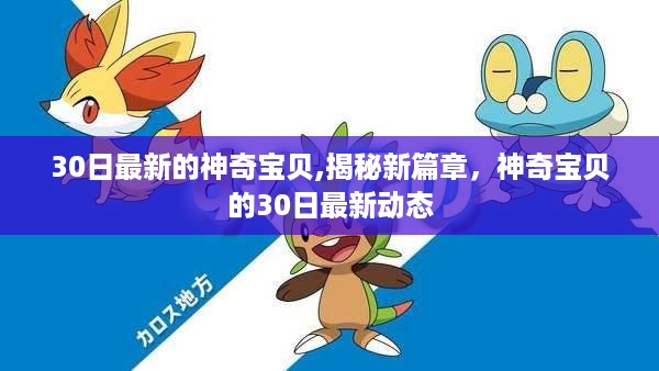 神奇宝贝新篇章