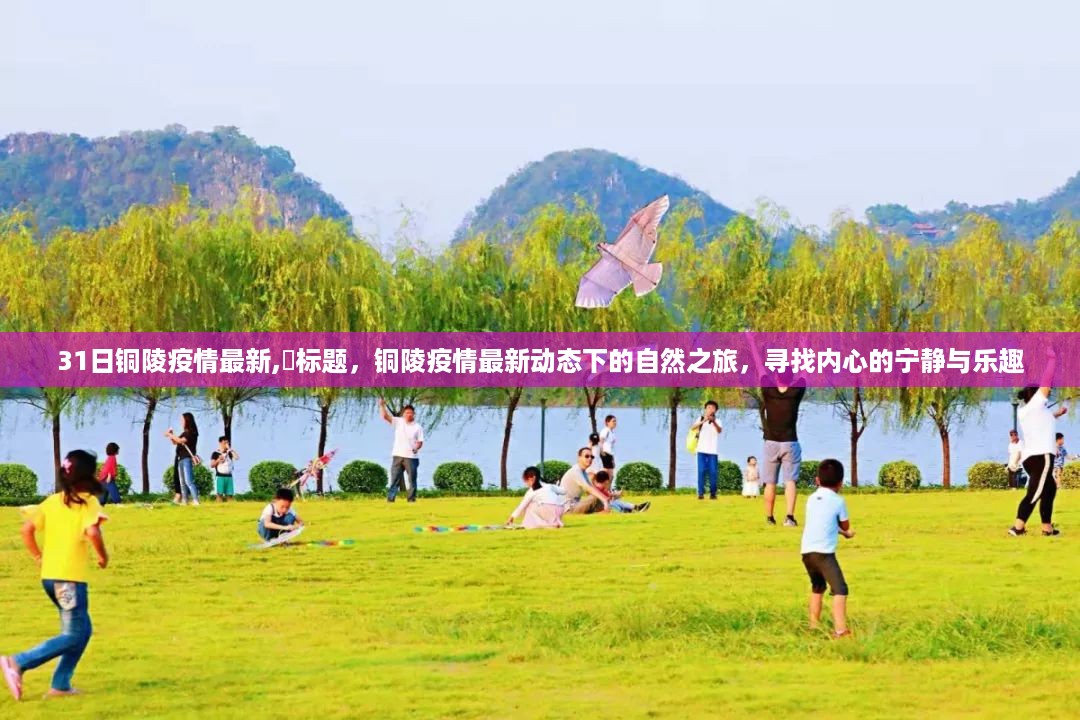沉默的风 第40页