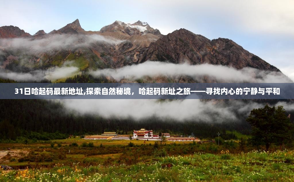 哈起码新址探索之旅，自然秘境中的心灵宁静与平和