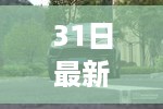 花开无言 第38页