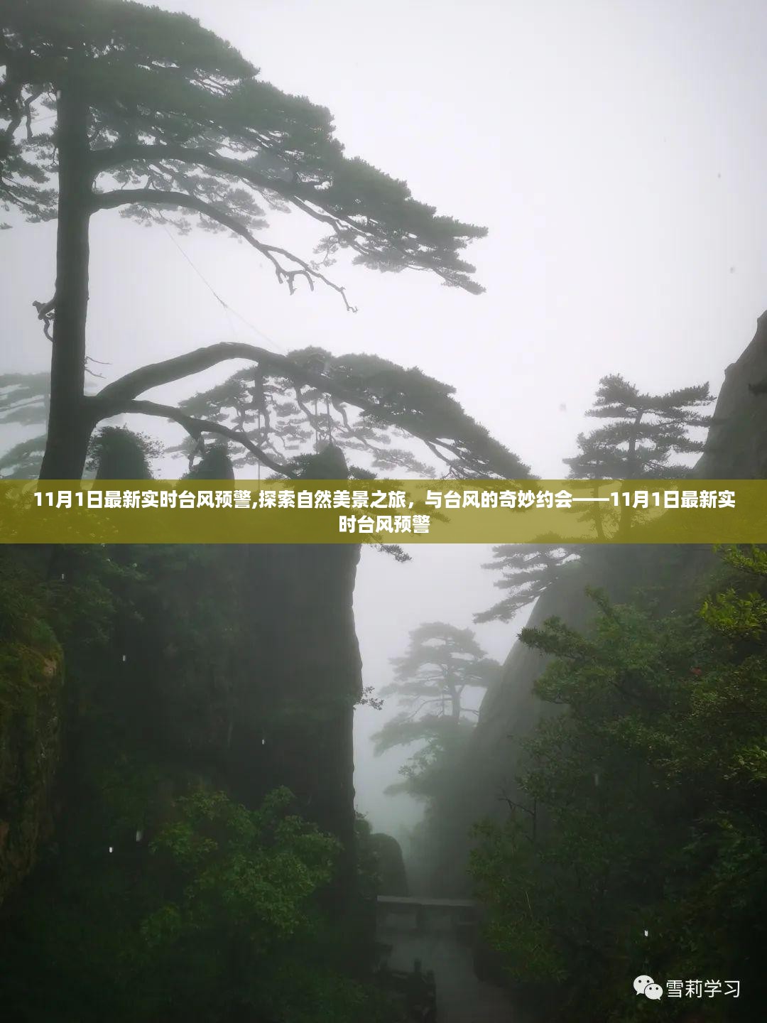 admin 第34页
