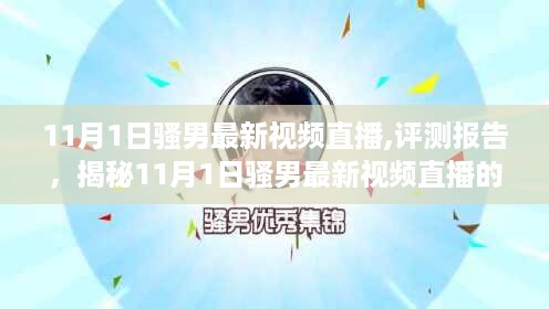 揭秘，骚男最新视频直播涉黄问题及独特魅力解析