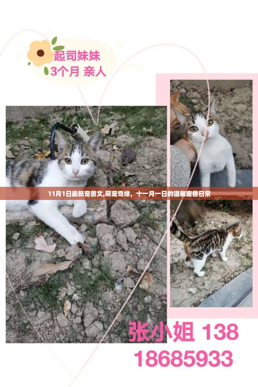 云烟 第34页