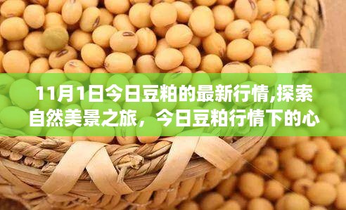 沉默的风 第35页