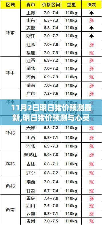 心灵之旅