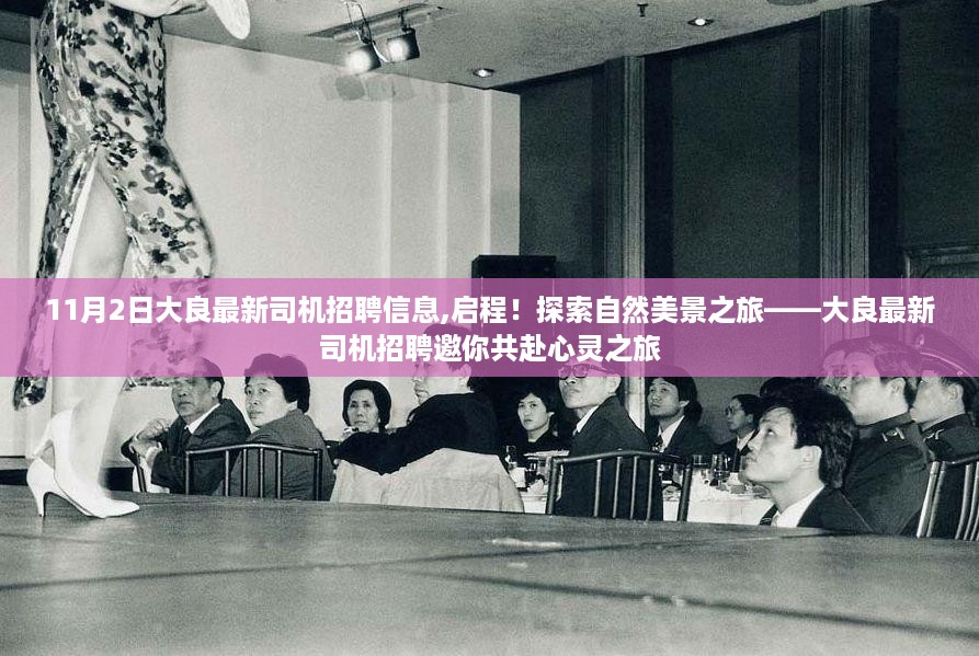 大良最新司机招聘启事，共赴自然美景与心灵之旅的探索之旅