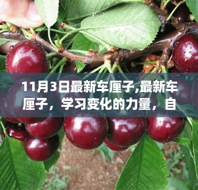 最新车厘子与学习变化的力量，自信与成就感的源泉