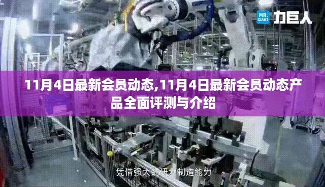 11月4日最新会员动态产品全面评测与介绍概览
