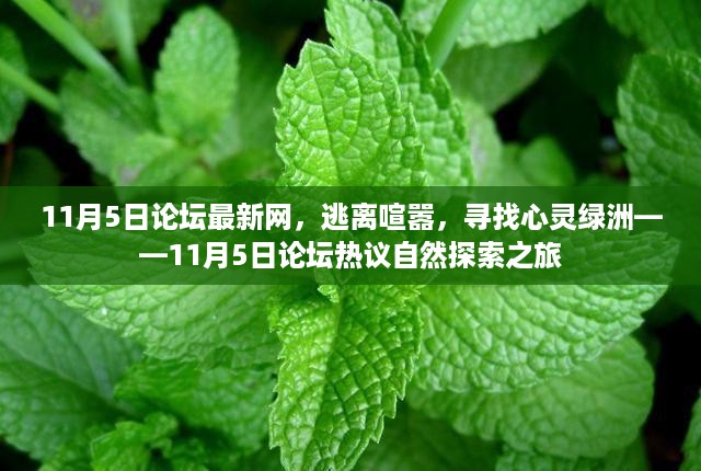 九死一生 第21页