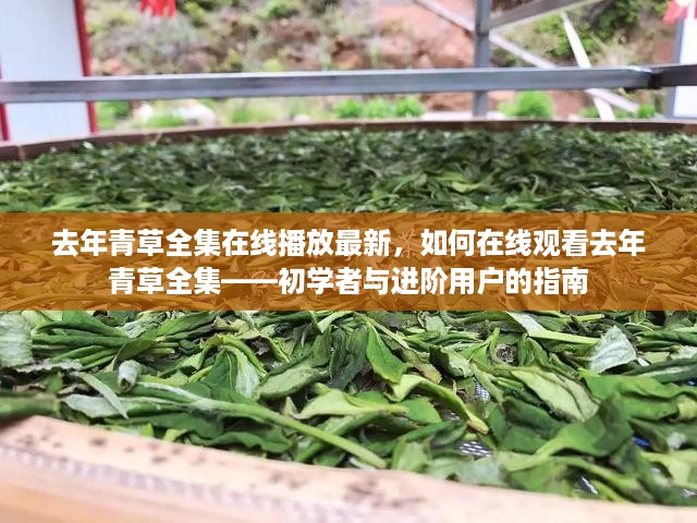 文质彬彬 第18页