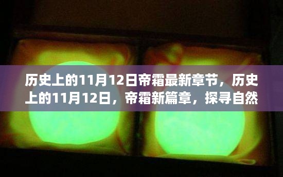 沉默的风 第15页