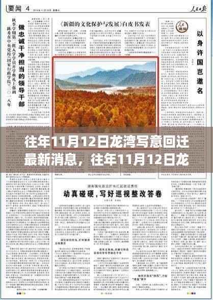 走马观花 第14页