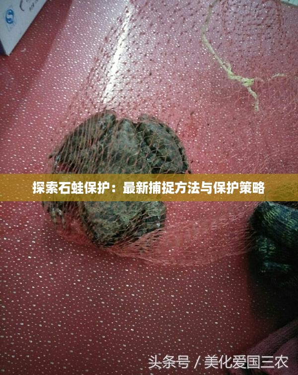 danzhuangnongmo 第14页