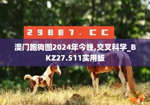 心急如焚 第11页