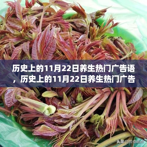 zhangmingfugui 第10页