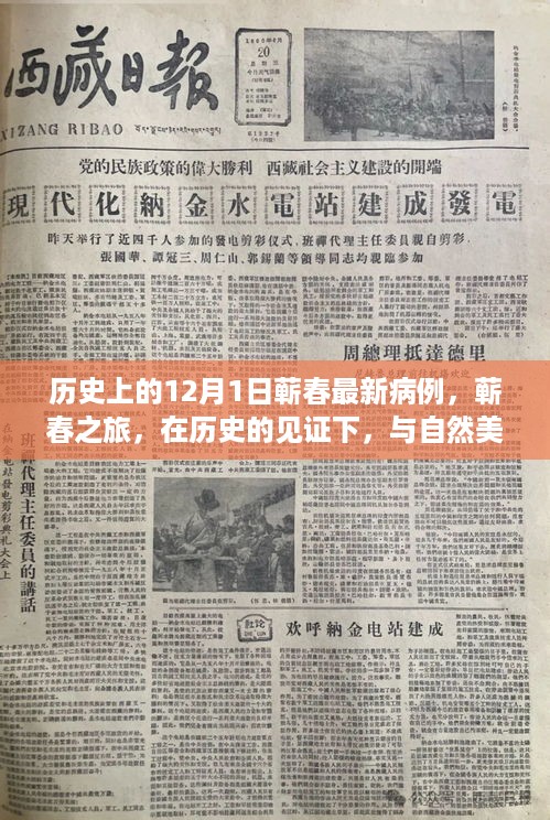caocaoshoubing 第7页