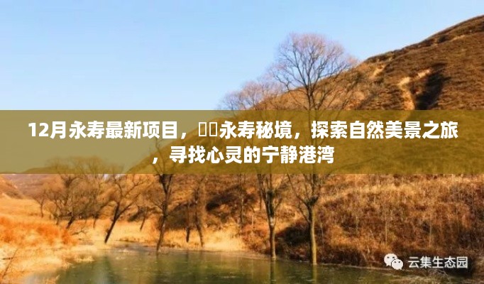 云烟 第8页
