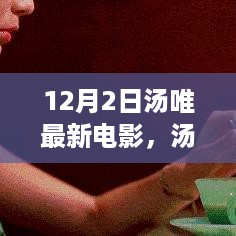 zaobitouguang 第8页