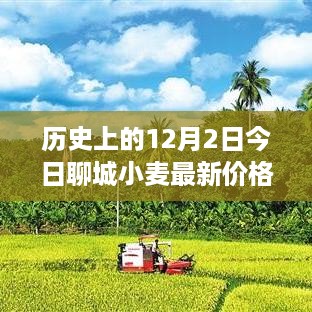 yaowuyinxin 第8页