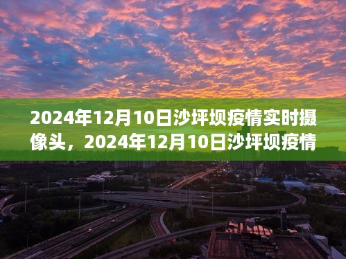 九死一生 第6页
