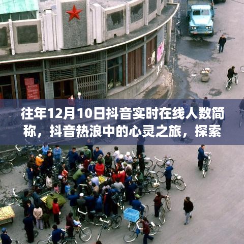 ruixuefenfei 第4页