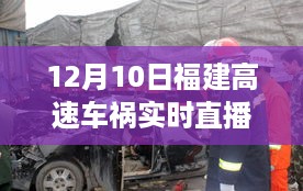 悠然自得 第4页