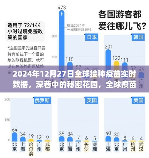 深巷中的秘密花园，全球疫苗接种实时数据与背后的故事（2024年12月27日）