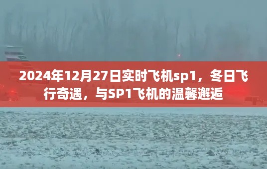 lingxingjinzhi 第3页