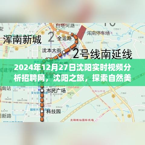 zhangmingfugui 第3页
