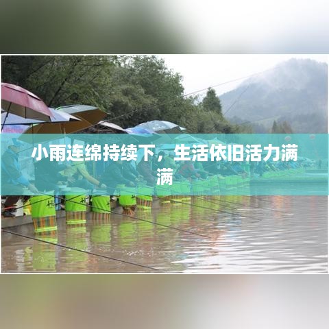 林下风气 第3页