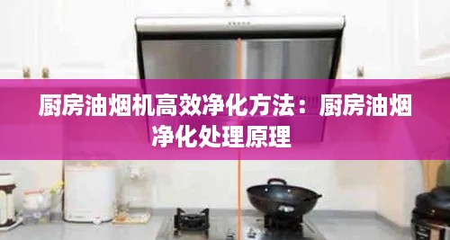 厨房油烟机高效净化方法：厨房油烟净化处理原理 