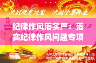 纪律作风落实严：落实纪律作风问题专项整治工作的有关情况 
