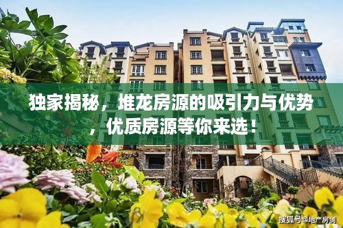独家揭秘，堆龙房源的吸引力与优势，优质房源等你来选！