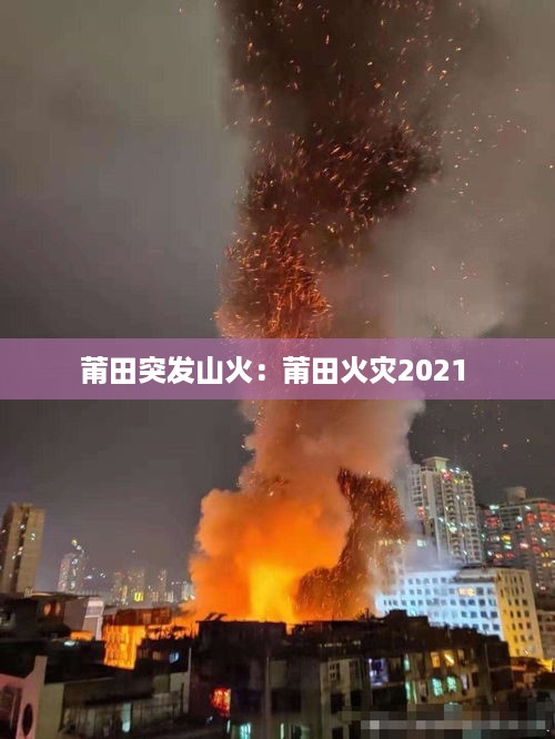 司空见惯 第3页