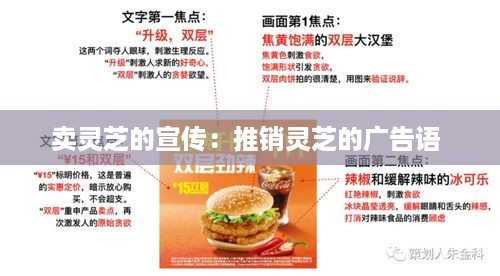 zaobitouguang 第2页
