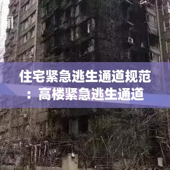 眼张失道 第2页