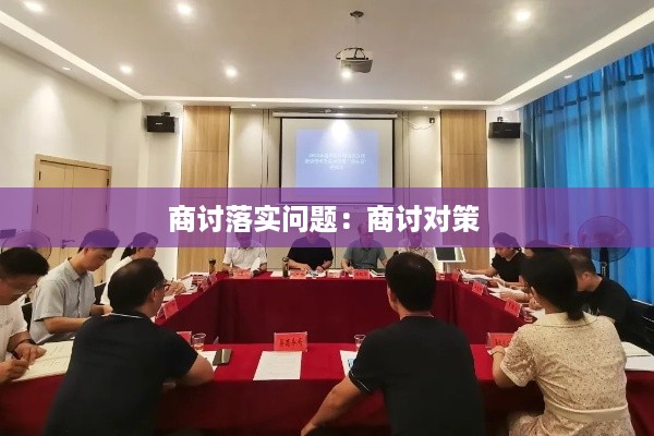 商讨落实问题：商讨对策 