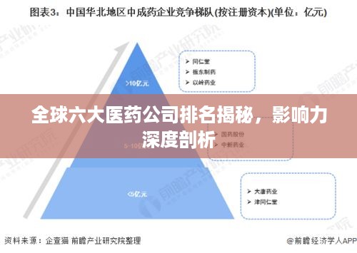 全球六大医药公司排名揭秘，影响力深度剖析