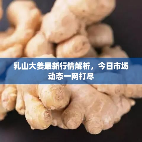 不知就里 第2页