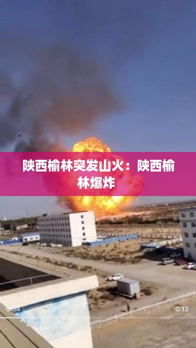 玉树临风 第2页
