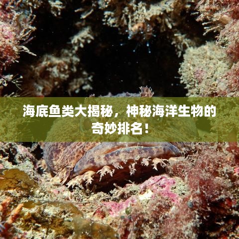 jingdiaoxike 第2页