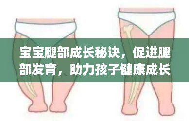 宝宝腿部成长秘诀，促进腿部发育，助力孩子健康成长