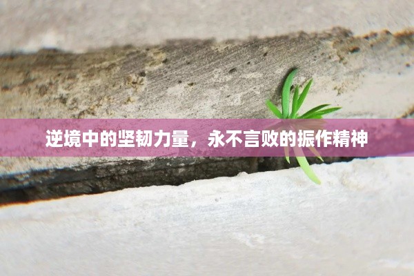 龙马精神 第2页