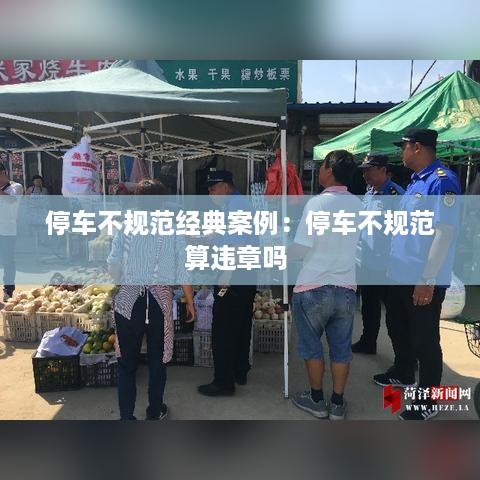 取证 第234页