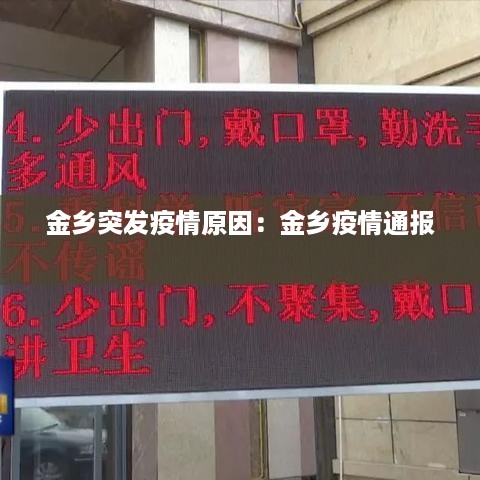 金乡突发疫情原因：金乡疫情通报 