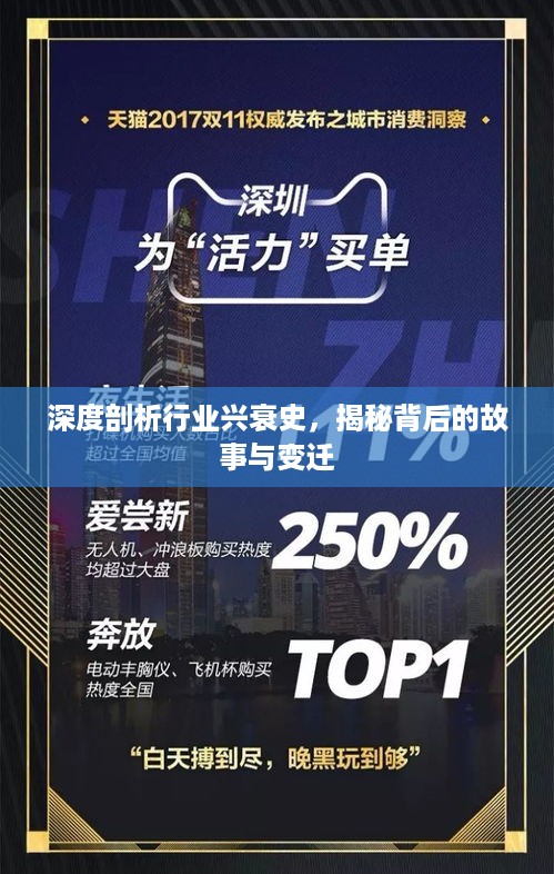 深度剖析行业兴衰史，揭秘背后的故事与变迁